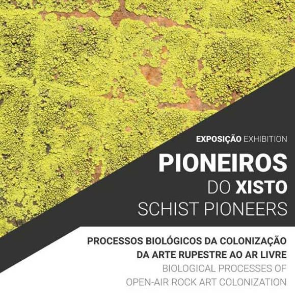 Pioneiros do Xisto – Processos biológicos na colonização da arte rupestre ao ar livre