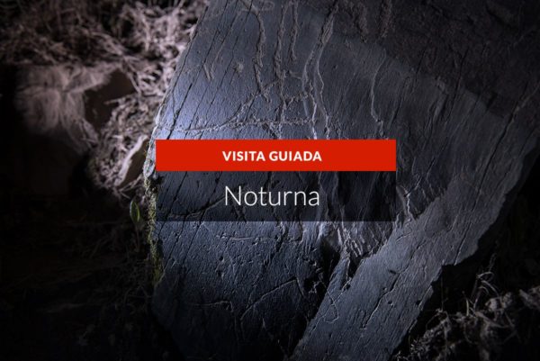 Visita Noturna