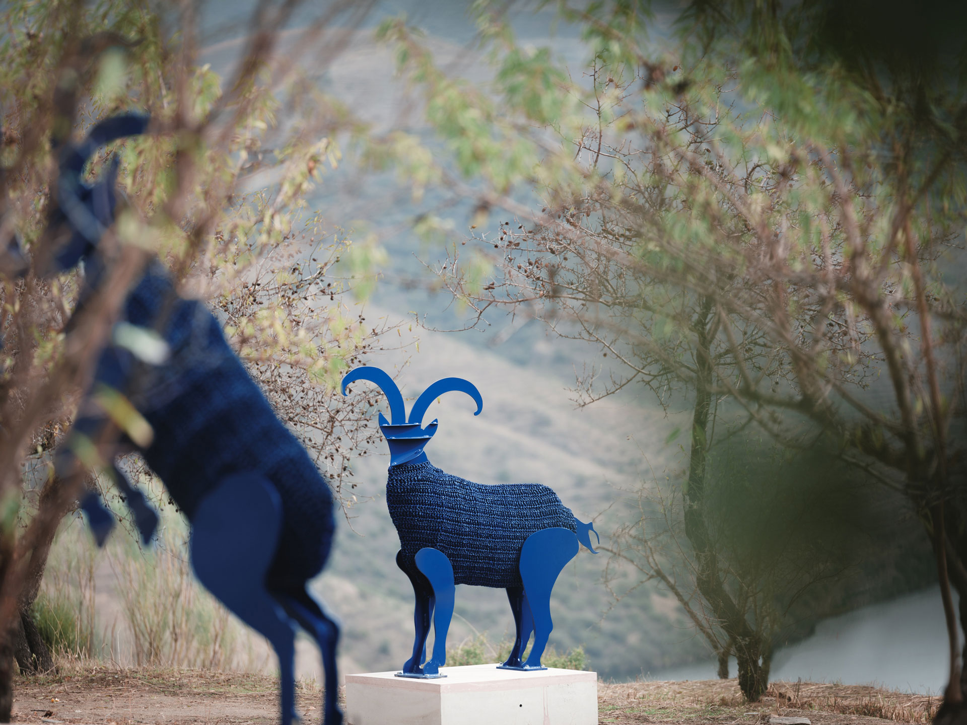 A Leap in Time, de Cristina Rodrigues