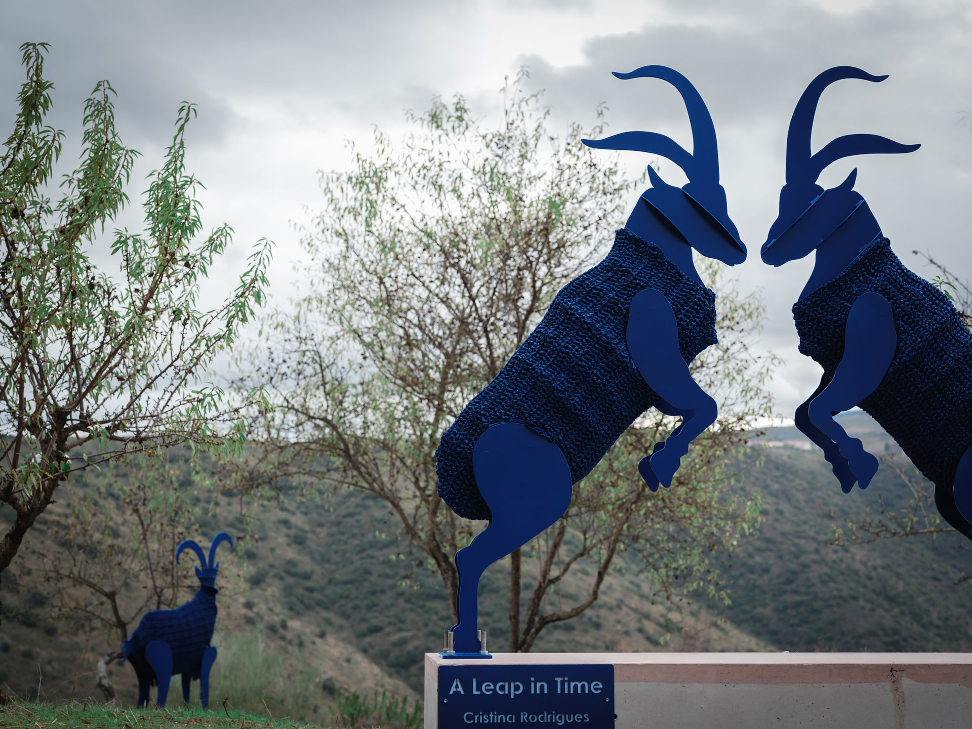 A Leap in Time, de Cristina Rodrigues