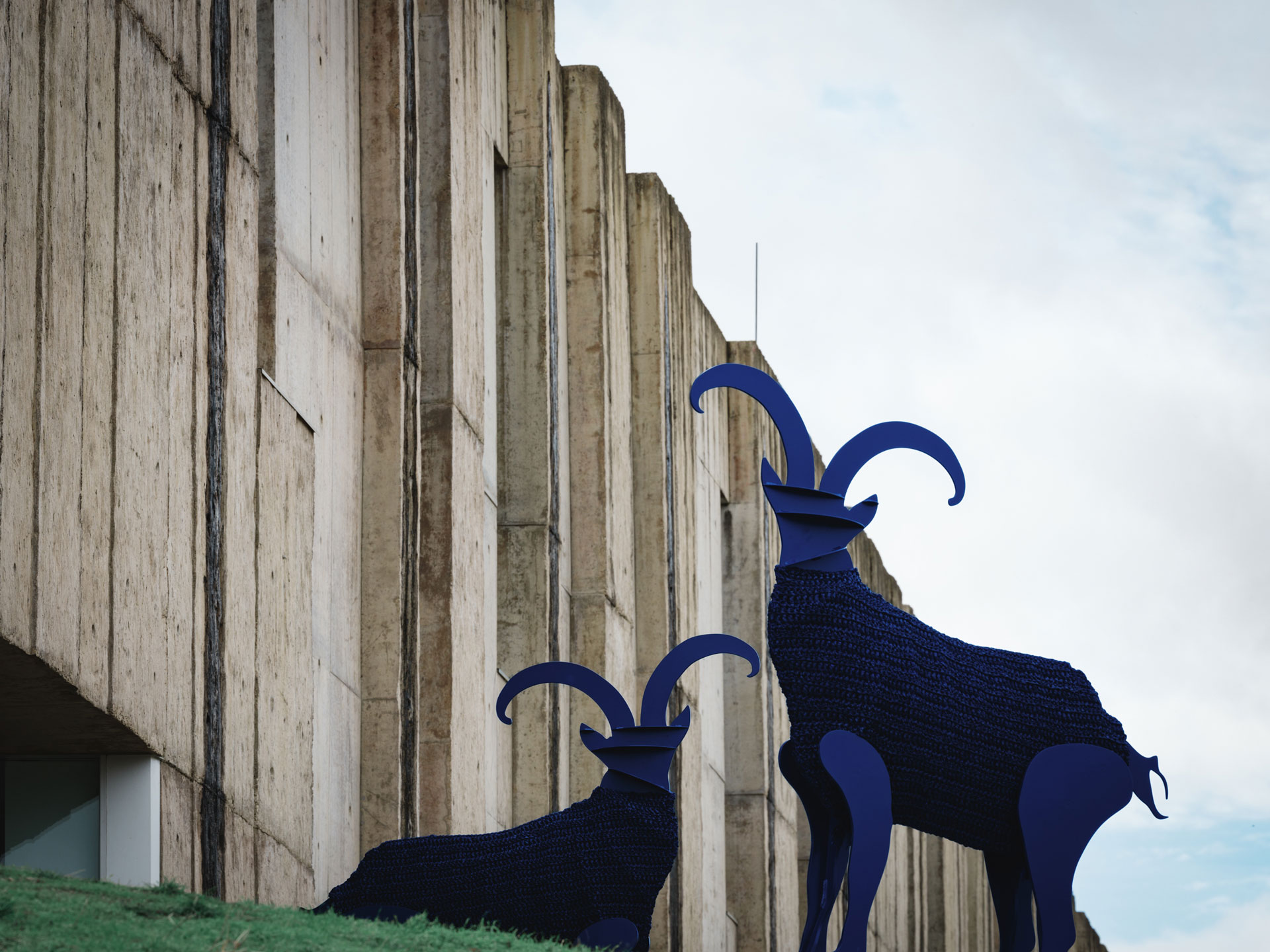 A Leap in Time, de Cristina Rodrigues