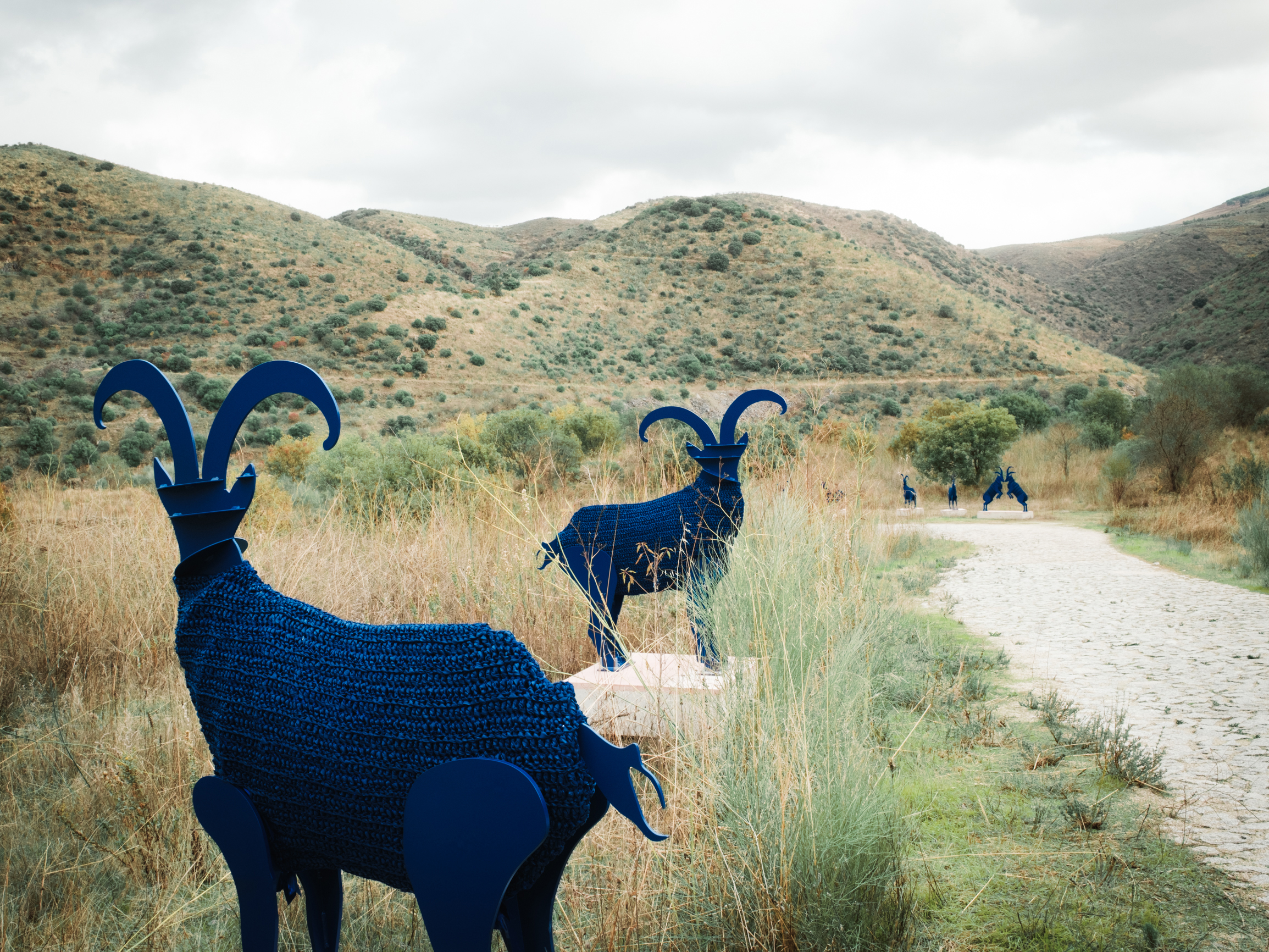 A Leap in Time, de Cristina Rodrigues