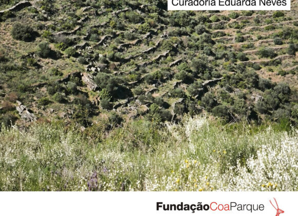 Estórias da Casa e do Plantio