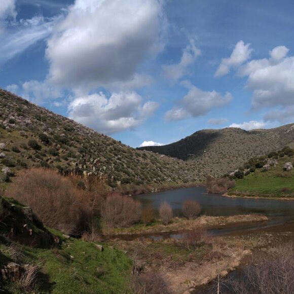 New Rock Art Discoveries in the Côa Valley