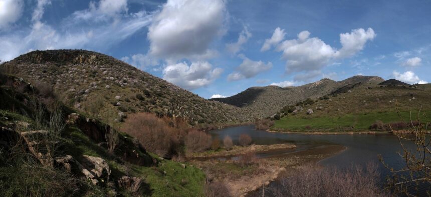New Rock Art Discoveries in the Côa Valley